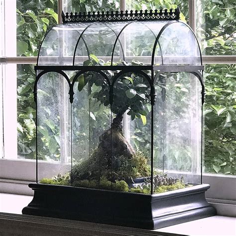 where to buy glass terrariums